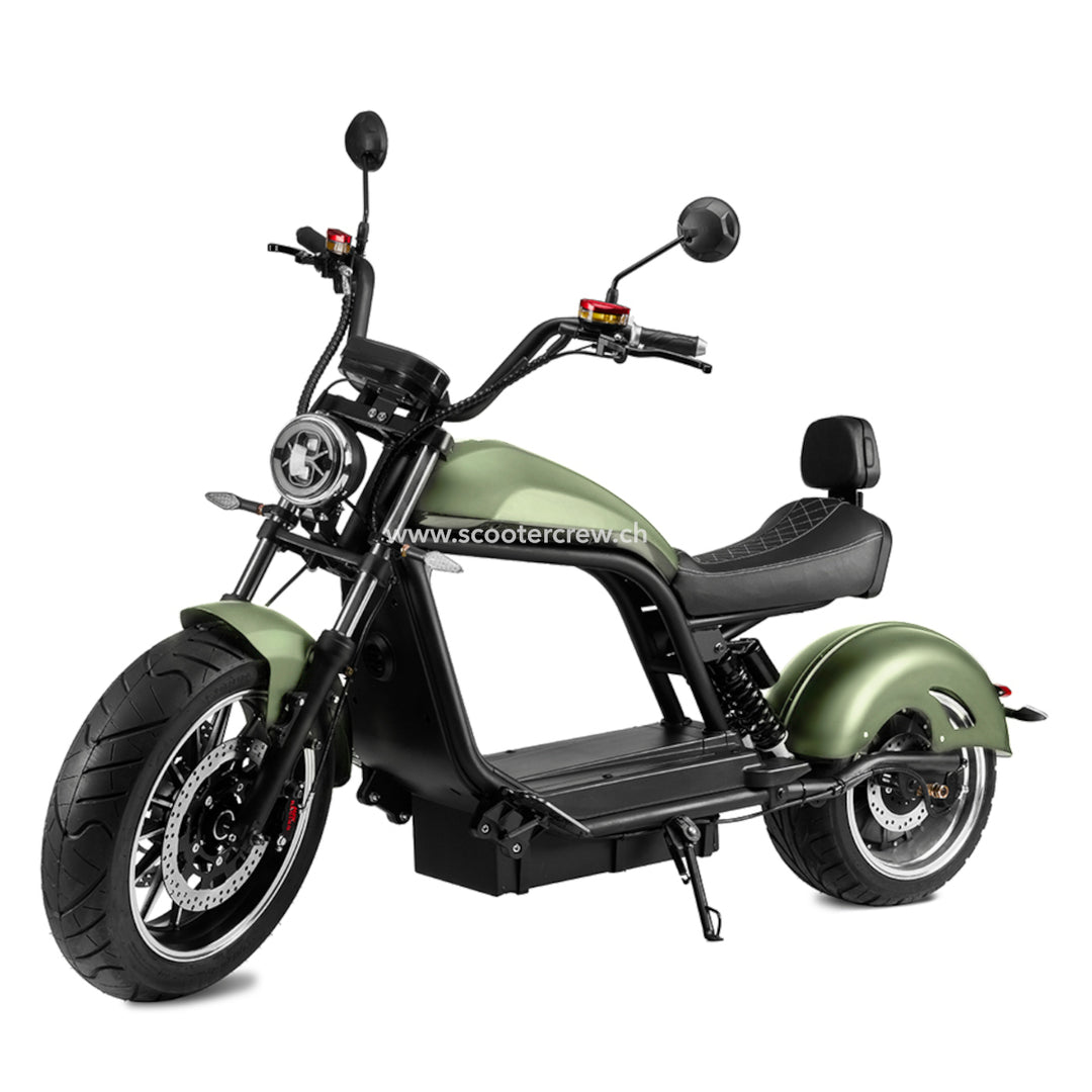 Stingray electric scooter 2025